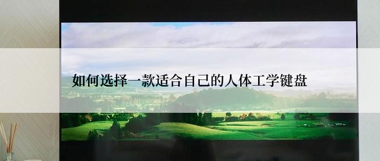 如何选择一款适合自己的人体工学键盘