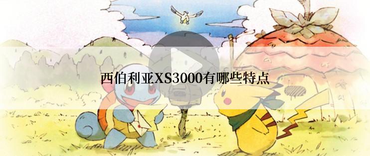 西伯利亚XS3000有哪些特点
