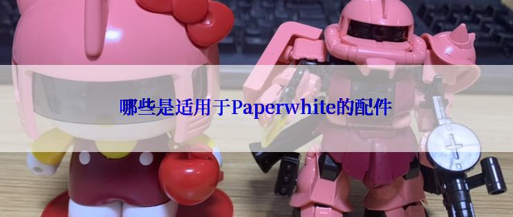 哪些是适用于Paperwhite的配件