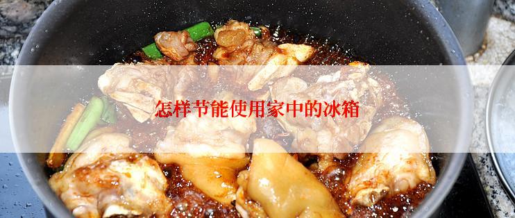 怎样节能使用家中的冰箱