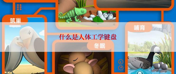 什么是人体工学键盘