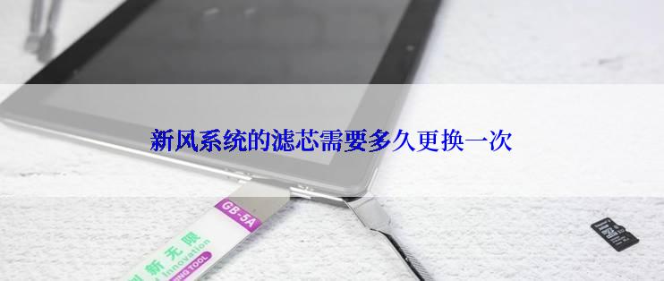 新风系统的滤芯需要多久更换一次