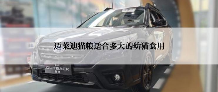 迈莱迪猫粮适合多大的幼猫食用