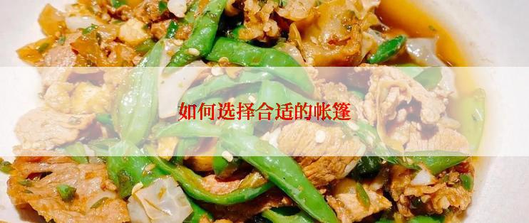 如何选择合适的帐篷