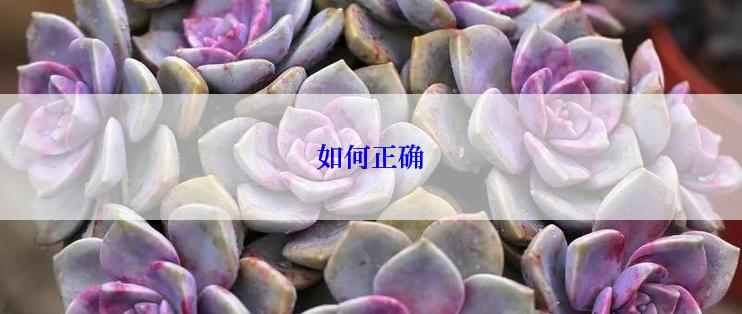 如何正确