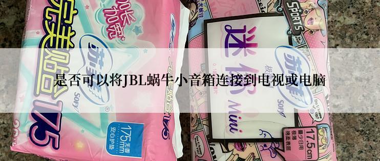 是否可以将JBL蜗牛小音箱连接到电视或电脑