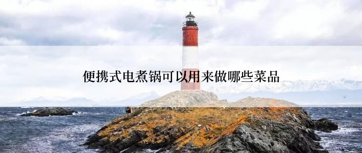 便携式电煮锅可以用来做哪些菜品