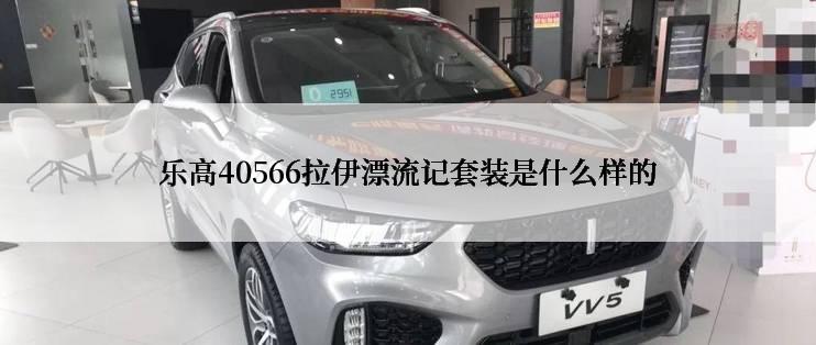 乐高40566拉伊漂流记套装是什么样的