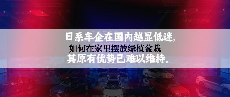 如何在家里摆放绿植盆栽