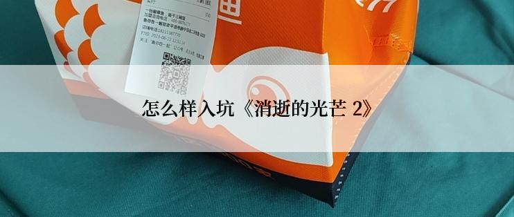 怎么样入坑《消逝的光芒 2》