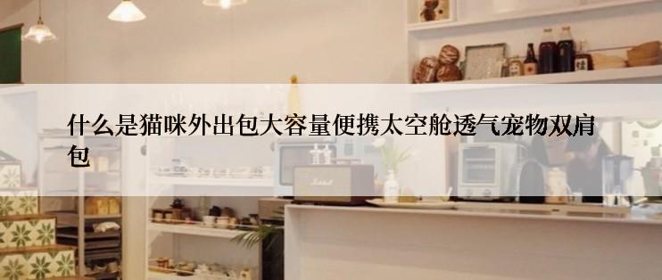 什么是猫咪外出包大容量便携太空舱透气宠物双肩包