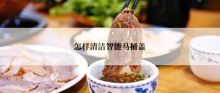 怎样清洁智能马桶盖