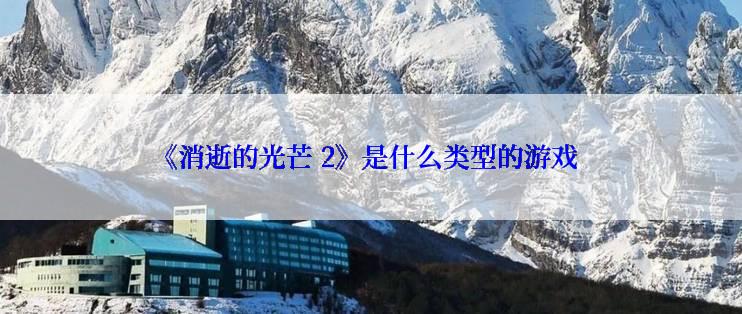 《消逝的光芒 2》是什么类型的游戏