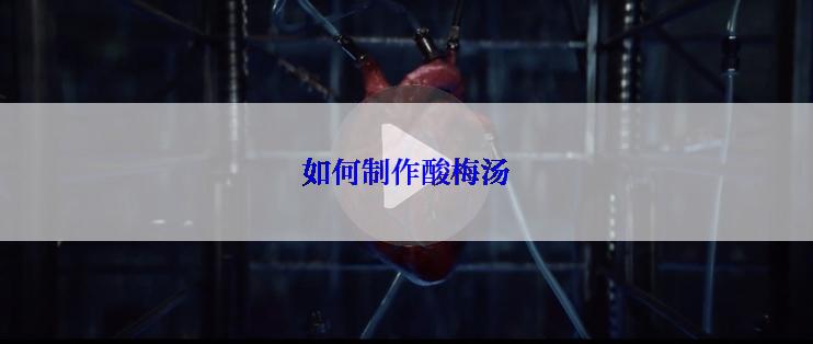 如何制作酸梅汤