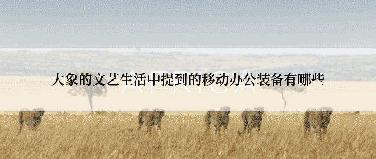 大象的文艺生活中提到的移动办公装备有哪些