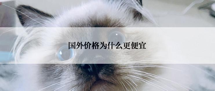 国外价格为什么更便宜