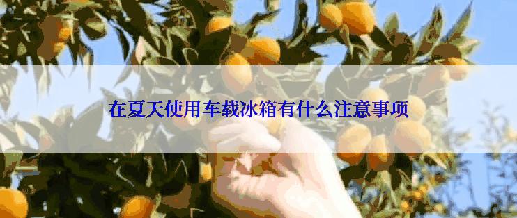 在夏天使用车载冰箱有什么注意事项