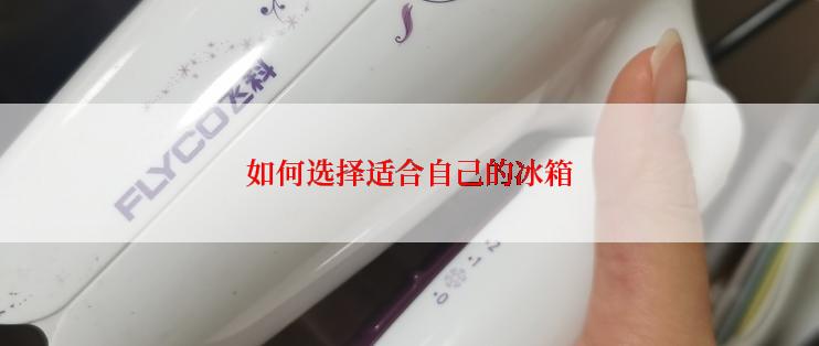 如何选择适合自己的冰箱