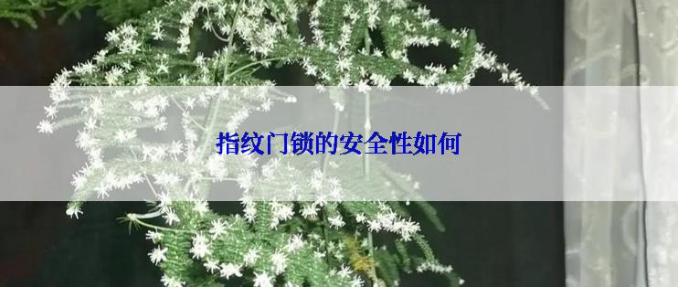指纹门锁的安全性如何