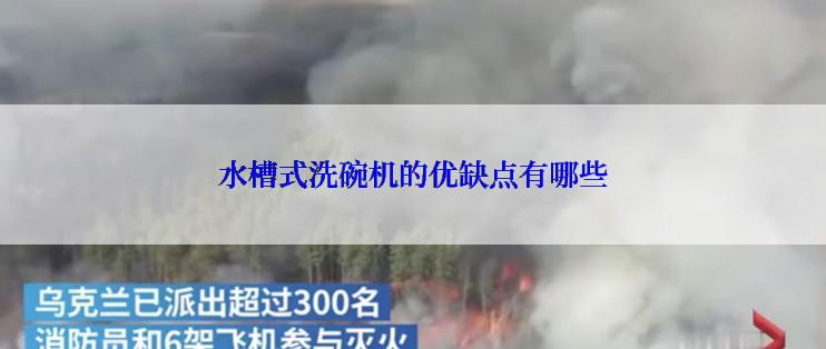 水槽式洗碗机的优缺点有哪些