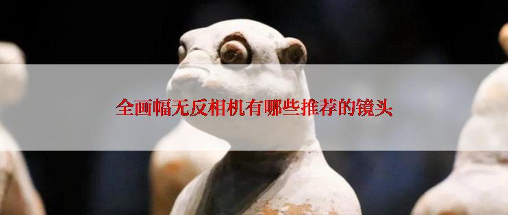 全画幅无反相机有哪些推荐的镜头