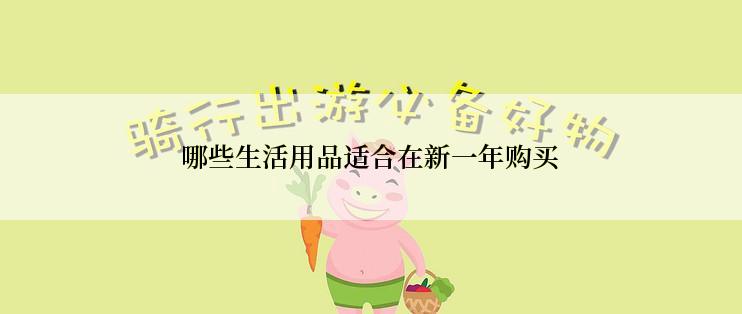 哪些生活用品适合在新一年购买