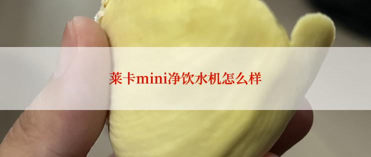 莱卡mini净饮水机怎么样