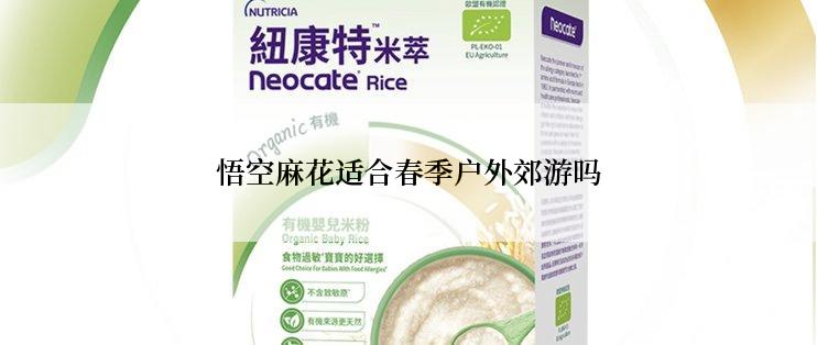 悟空麻花适合春季户外郊游吗