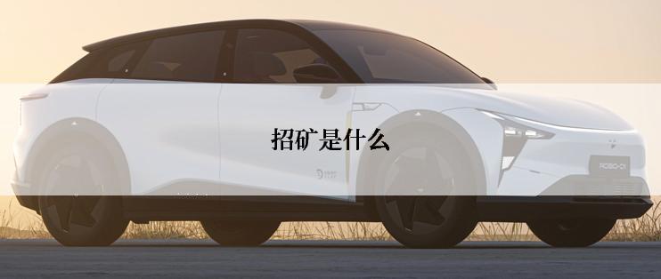 招矿是什么