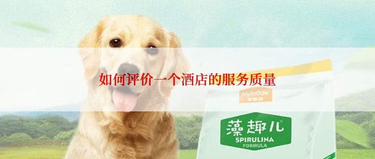 如何评价一个酒店的服务质量