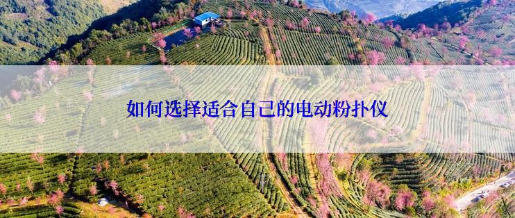 如何选择适合自己的电动粉扑仪