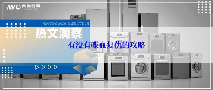 有没有喋血复仇的攻略