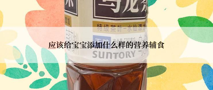 应该给宝宝添加什么样的营养辅食