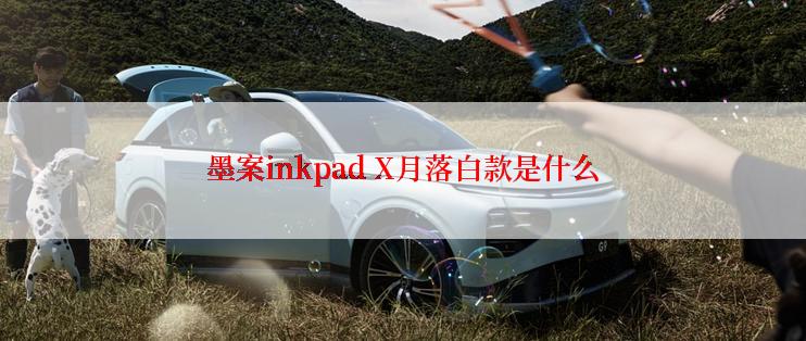 墨案inkpad X月落白款是什么