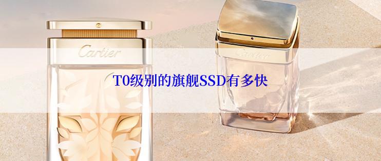 T0级别的旗舰SSD有多快