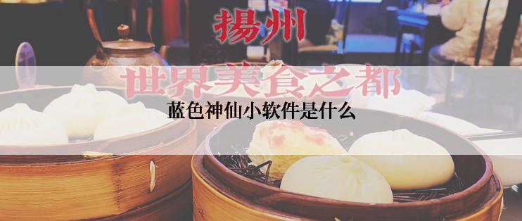 蓝色神仙小软件是什么