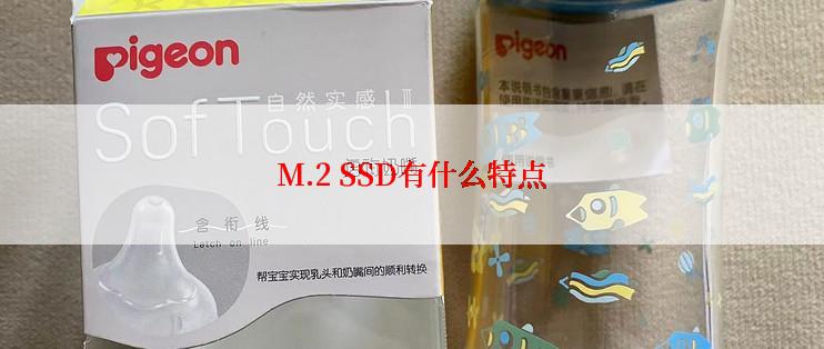 M.2 SSD有什么特点