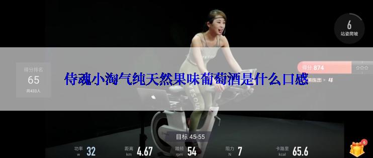 侍魂小淘气纯天然果味葡萄酒是什么口感