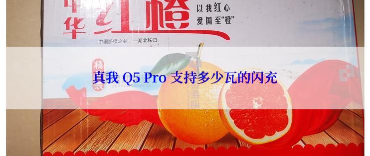 真我 Q5 Pro 支持多少瓦的闪充