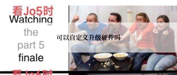 可以自定义升级硬件吗