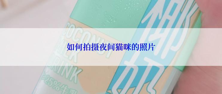 如何拍摄夜间猫咪的照片