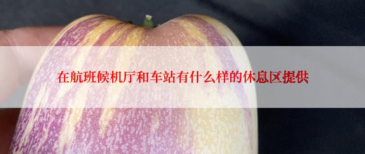在航班候机厅和车站有什么样的休息区提供