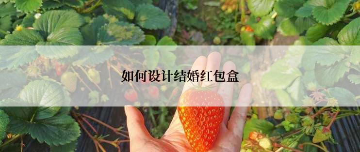 如何设计结婚红包盒