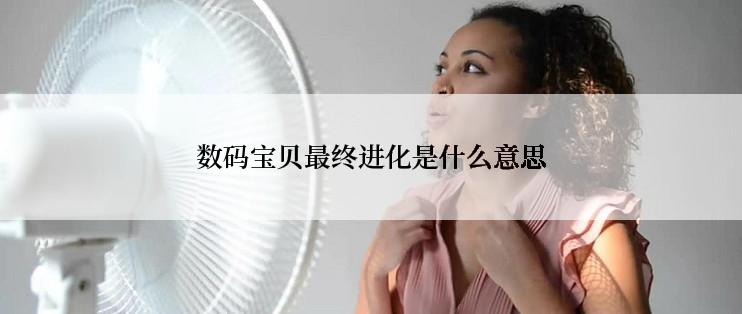 数码宝贝最终进化是什么意思
