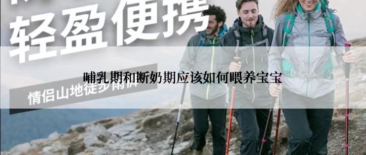 哺乳期和断奶期应该如何喂养宝宝