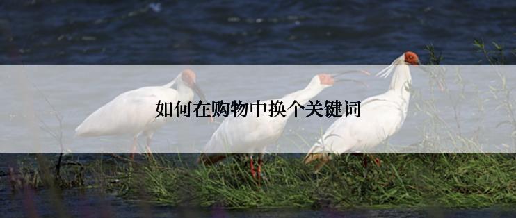 如何在购物中换个关键词