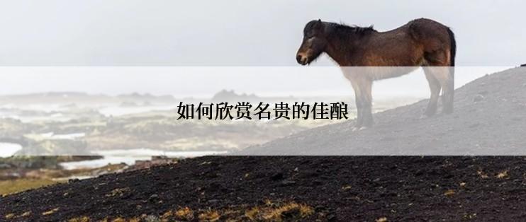 如何欣赏名贵的佳酿