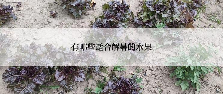 有哪些适合解暑的水果