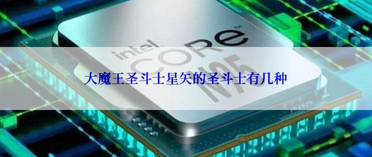 大魔王圣斗士星矢的圣斗士有几种