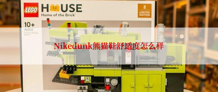 Nikedunk熊猫鞋舒适度怎么样